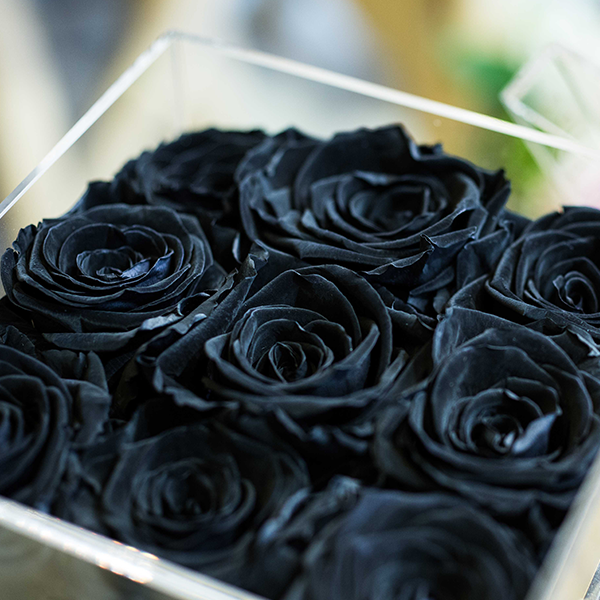Boite-9-roses-noires-éternelles-paris-5eme-maison-des-fleurs