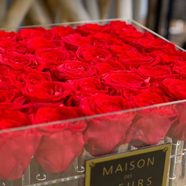 Maison-des-Fleurs-Boite-36-roses-rouges-eternelles-fleuriste-paris-5eme