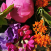Mays-Rainbow-la-maison-des-fleurs-paris